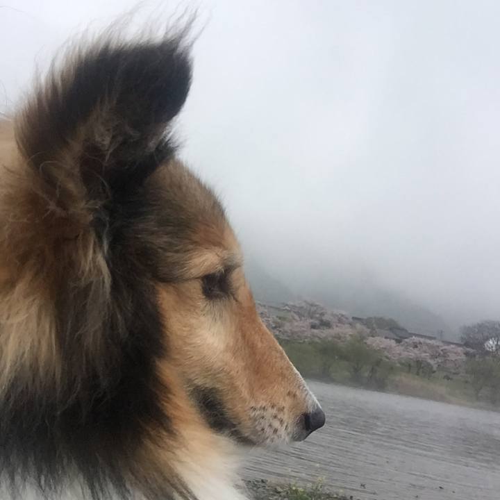 45e31767 ae82 4bd5 aaf9 fce1cfc0e32b