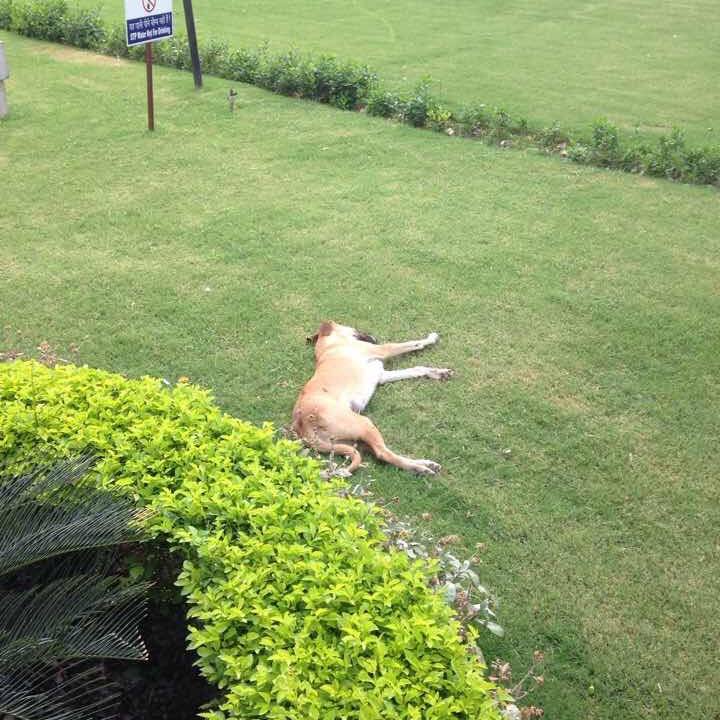 45e42e33 1467 47b5 8233 cde078e0a1f7