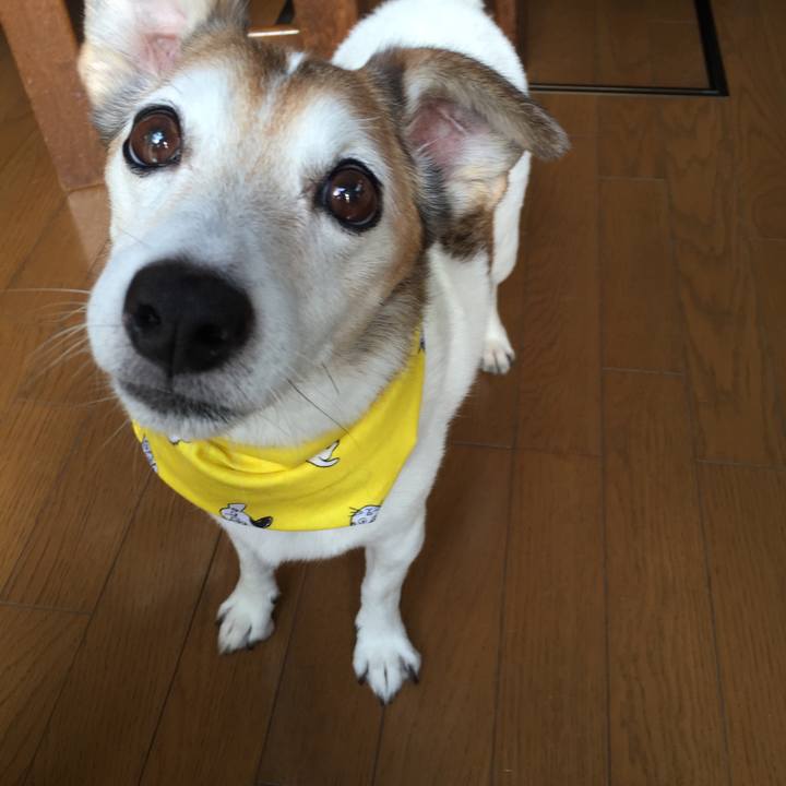 45e511e9 24d2 4976 ade4 68fc826c6a42