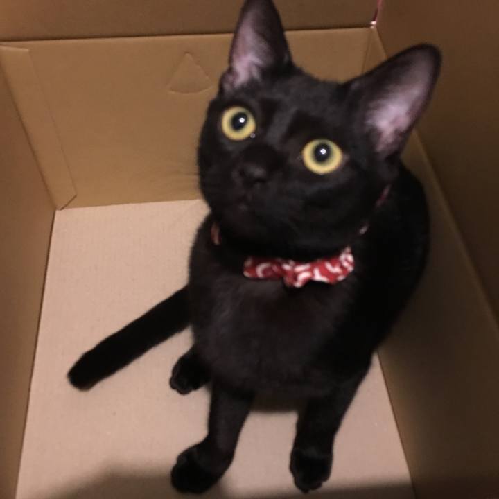 45e5cc67 3f2b 44d2 b152 e581287ba080