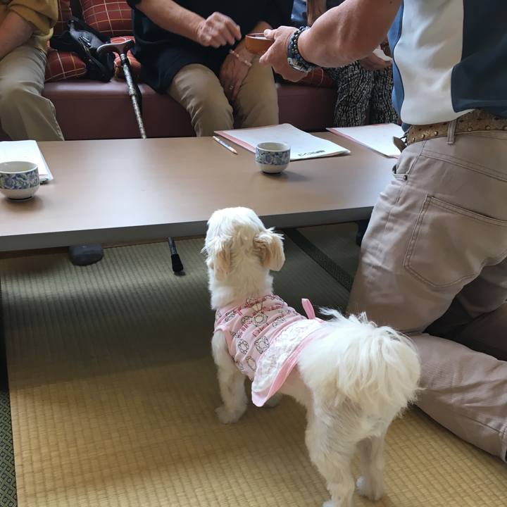 45e66ca1 800f 4840 8fac 50afa6f7733b