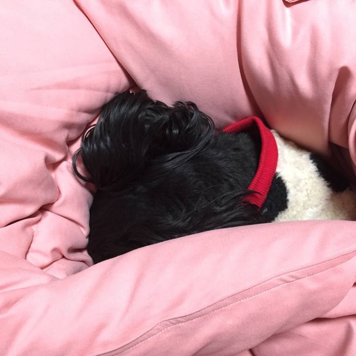 45e6815a 6c03 46f1 8dac b56008583734