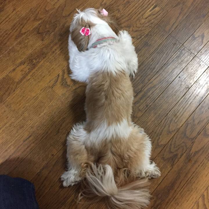 45e8c01d 5409 48b1 a62b 4daf8b99da0c