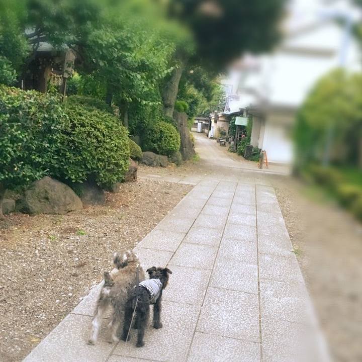 45e8d197 6026 48a1 a214 a49f8ab60218