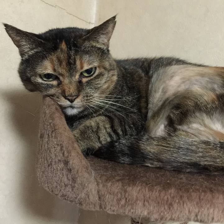 45ea0c96 23bd 40a4 9f01 7fe73122a4c1