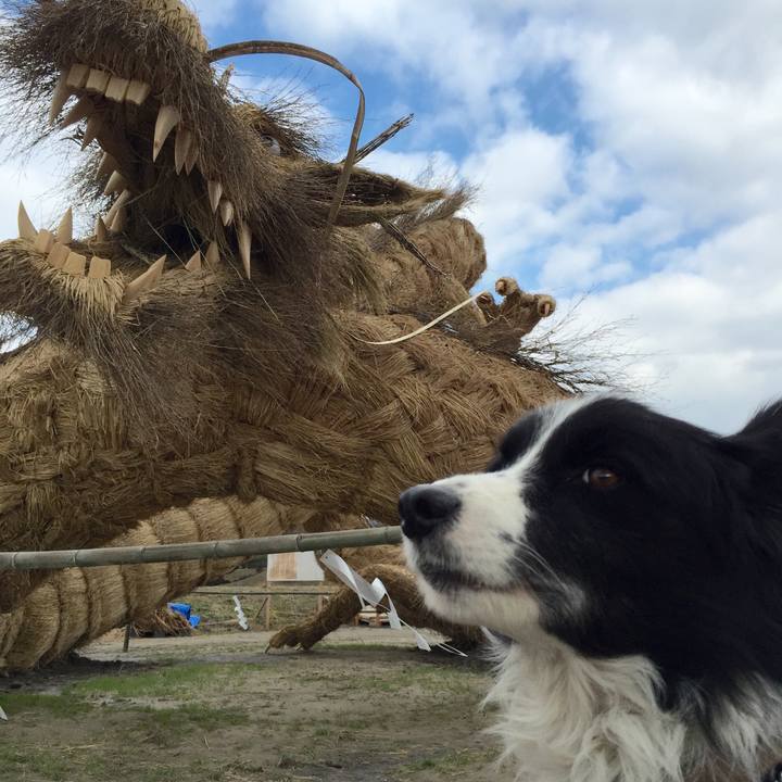 45eb0fd6 7490 4006 86e3 68c22b5c3b8a