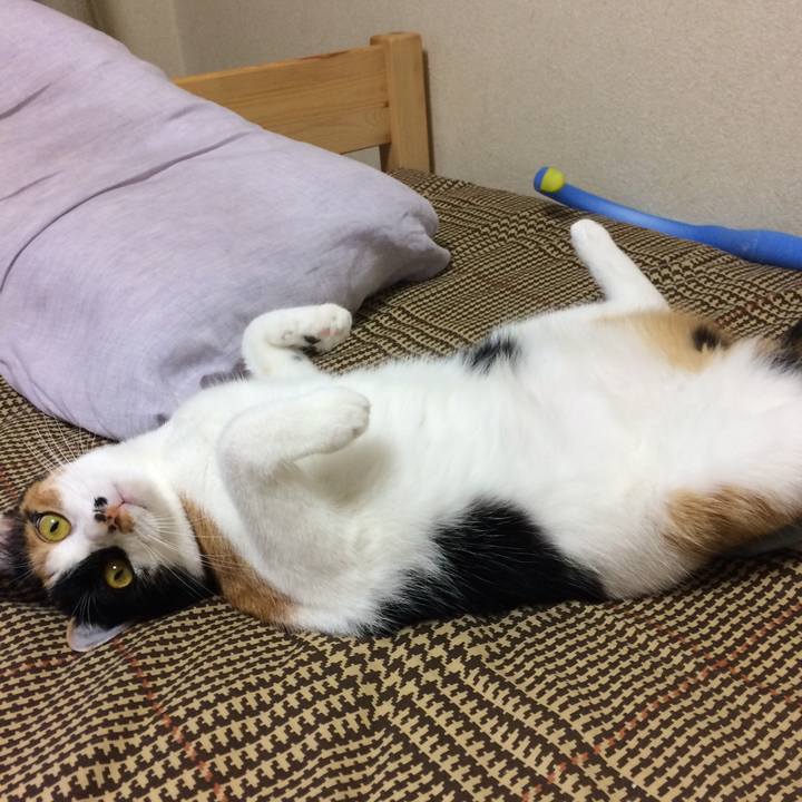 45eb4235 41aa 4f84 8bd2 b2501e05f644