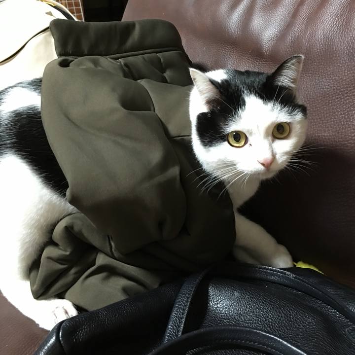 45eb6e5d fcdb 47d5 9df4 e6baf4d2393c