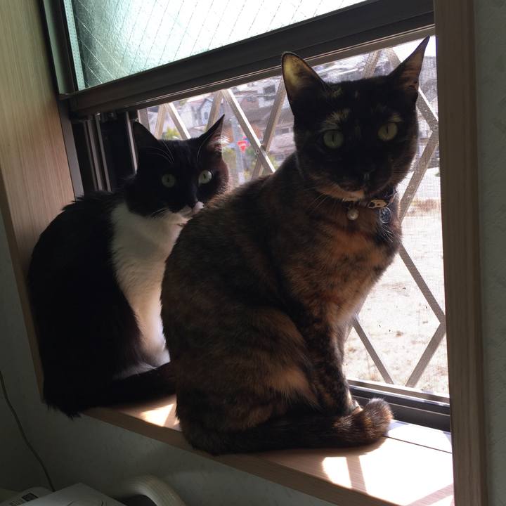 45ed1f34 40e2 4866 8e18 918869870417