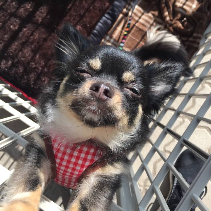 45ed21c1 4375 437f 88e0 f379d7521ecc