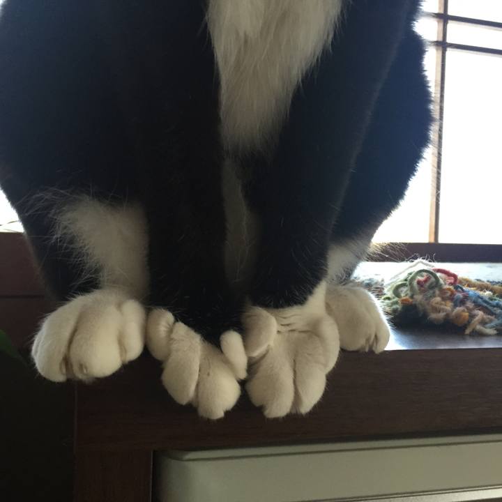 45ee4445 bf76 4948 9753 3c225ad74ad1