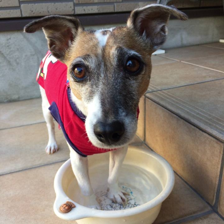 45eea012 a431 4200 8f49 8a1c8e6ff5a8