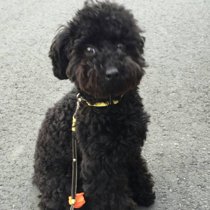 45ef2d9c 8d2a 454a 9175 765856e7e00d