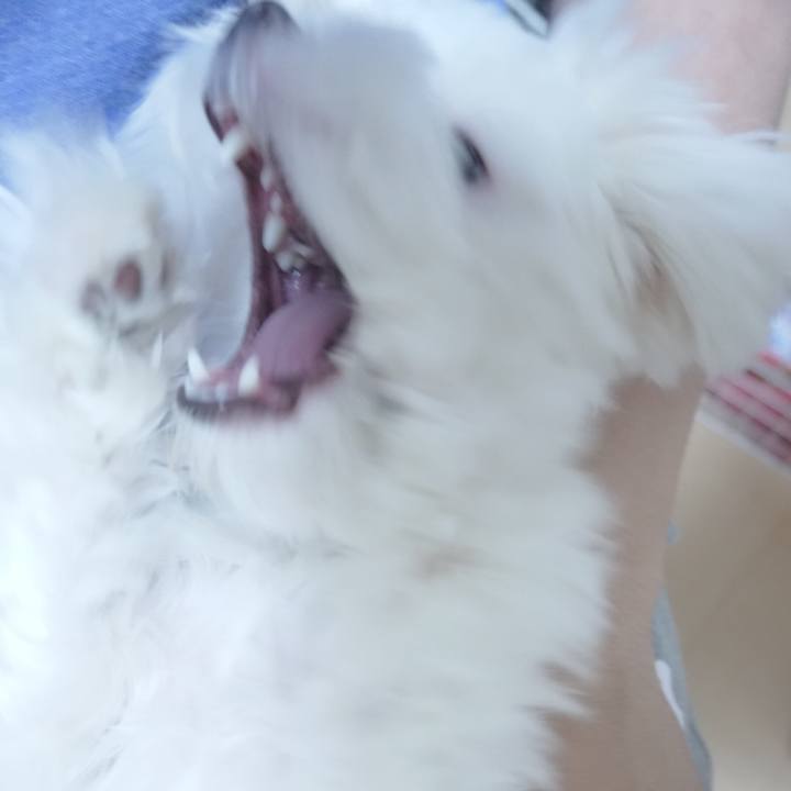 45ef57d1 ecf6 4fba bc53 f73db7712793