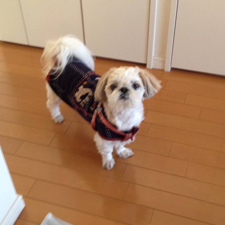 45efd287 092b 48b5 8281 1b78c90645ff