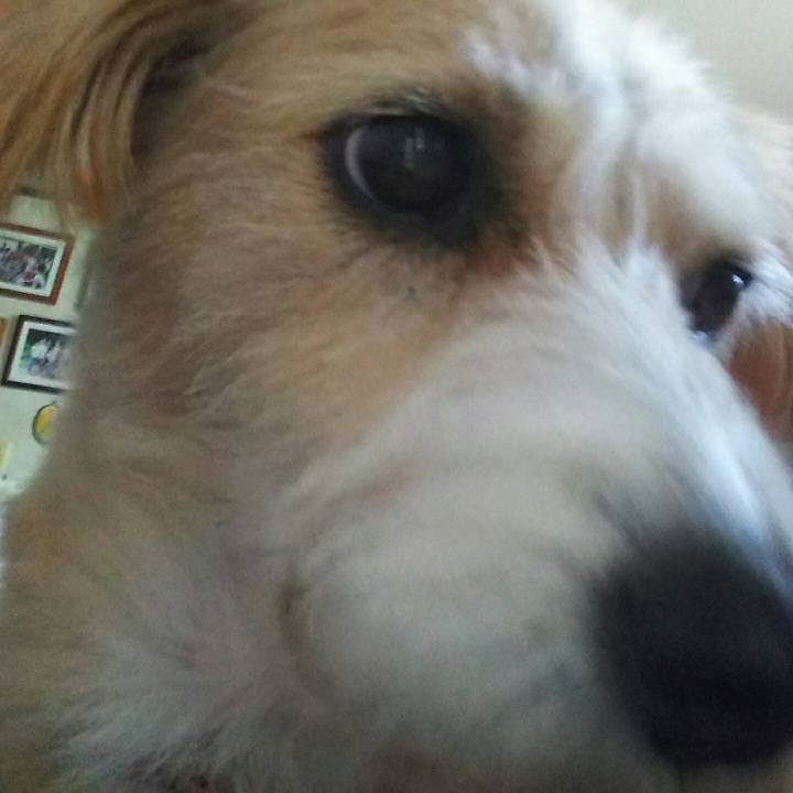 45efe1fd 722b 4919 a385 adae25175de0