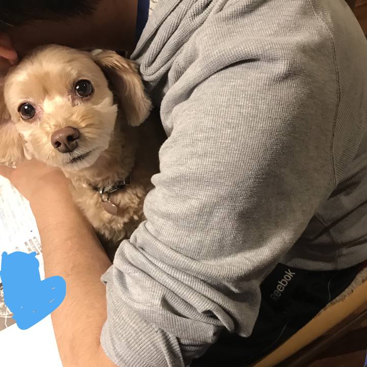 45f05181 41d3 4ccc a9cd 376a7239dba9