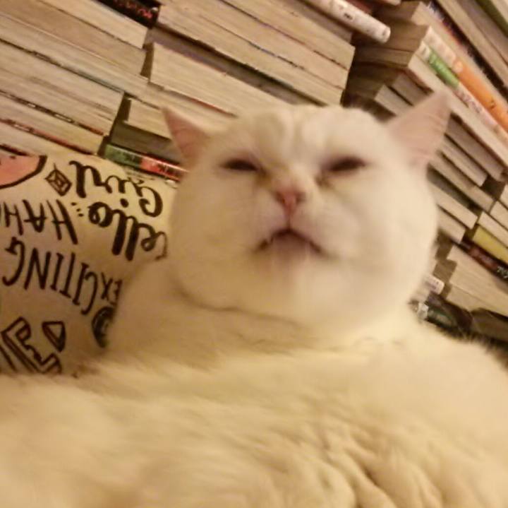 45f082d2 a6c4 476e a84e e93f2c707a53