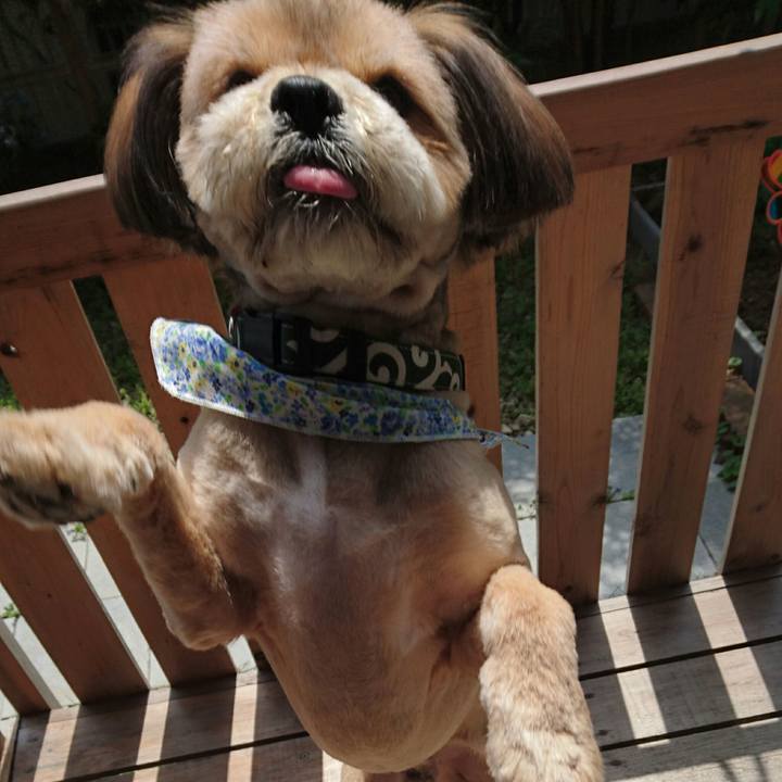 45f0948f 1061 49da 9dfc 27778d9601a4