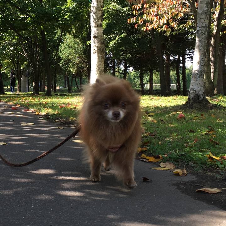 45f0add5 0151 4570 9a17 4c474f205aaa