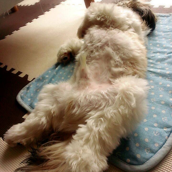 45f1aa85 031f 4762 b032 1e15d11db815