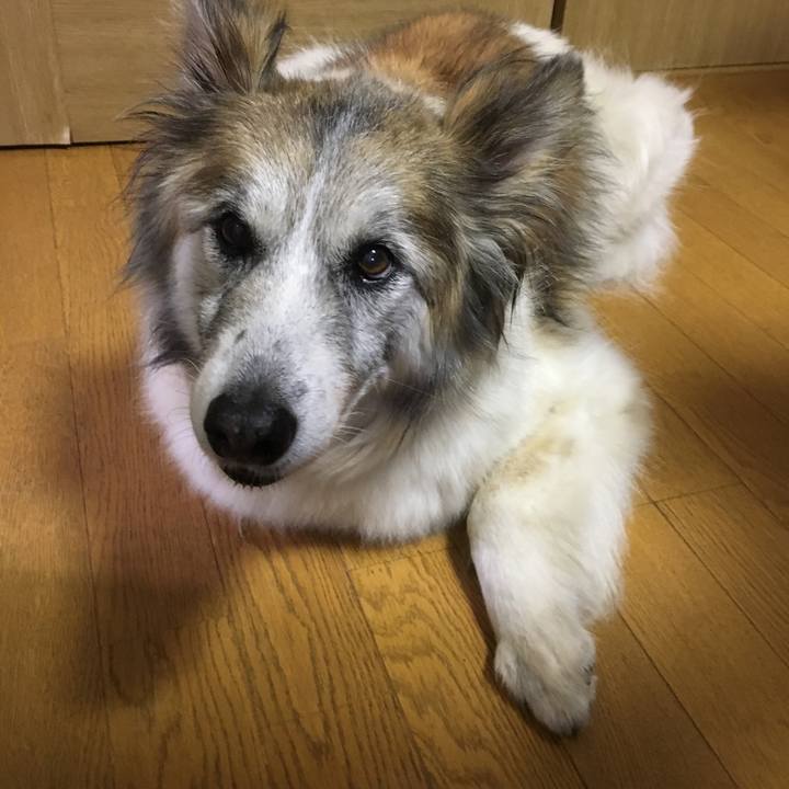 45f1e3cf 1bea 4d35 a35d e9b976986c0b