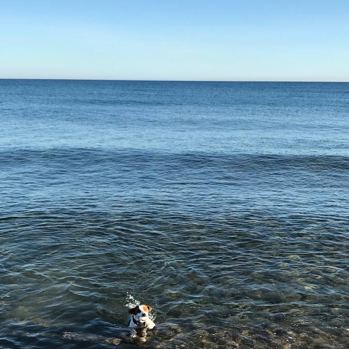 45f2c829 533b 41fb b1b8 ef3efe60e5e9