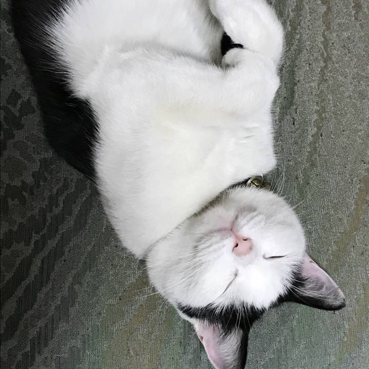 45f2de5a 68dc 426c b8b5 4397b72abf31