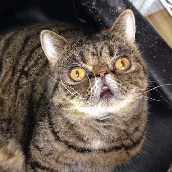 45f34076 4ae4 435b 8fa2 40a2233d6362