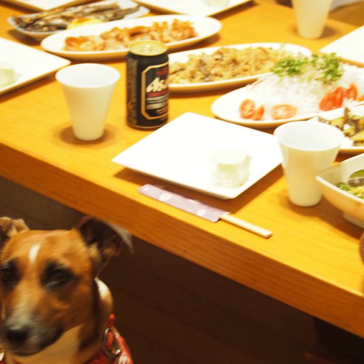 45f350b4 ff59 4044 ab65 2180daba9840