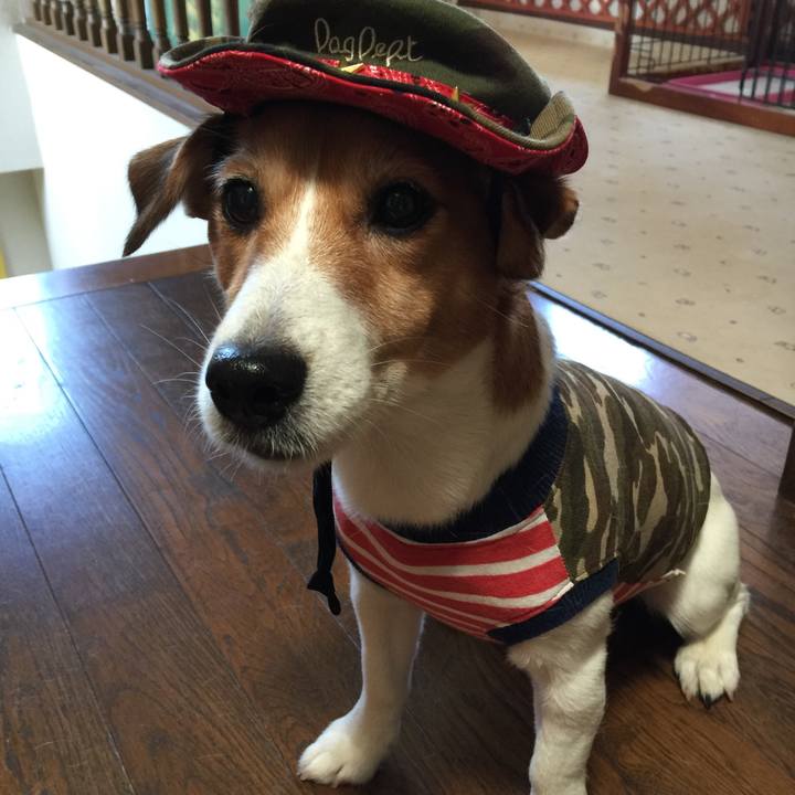 45f3eb7c f99b 4c16 acc6 51dae8dcbfaa