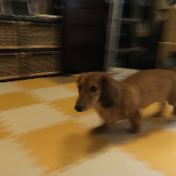 45f43192 6a79 4d0c be00 71c4c851aeba