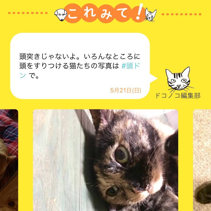 45f580d4 cfc0 4355 896c 84390bd1c6b4