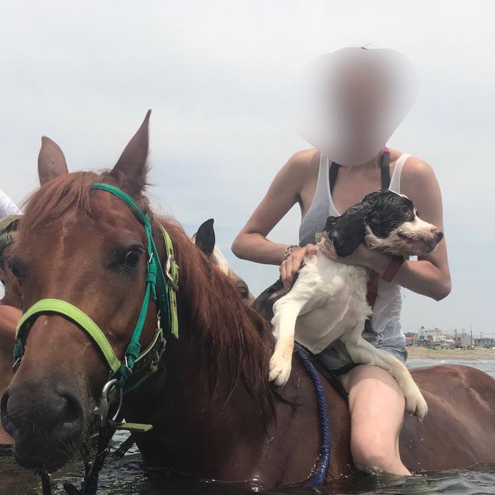 45f595b3 4322 43a7 956e cc6318104635