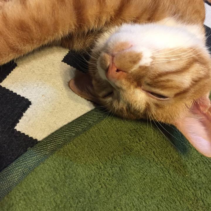 45f7986d 7a46 445d 92ba 0318276b21fd