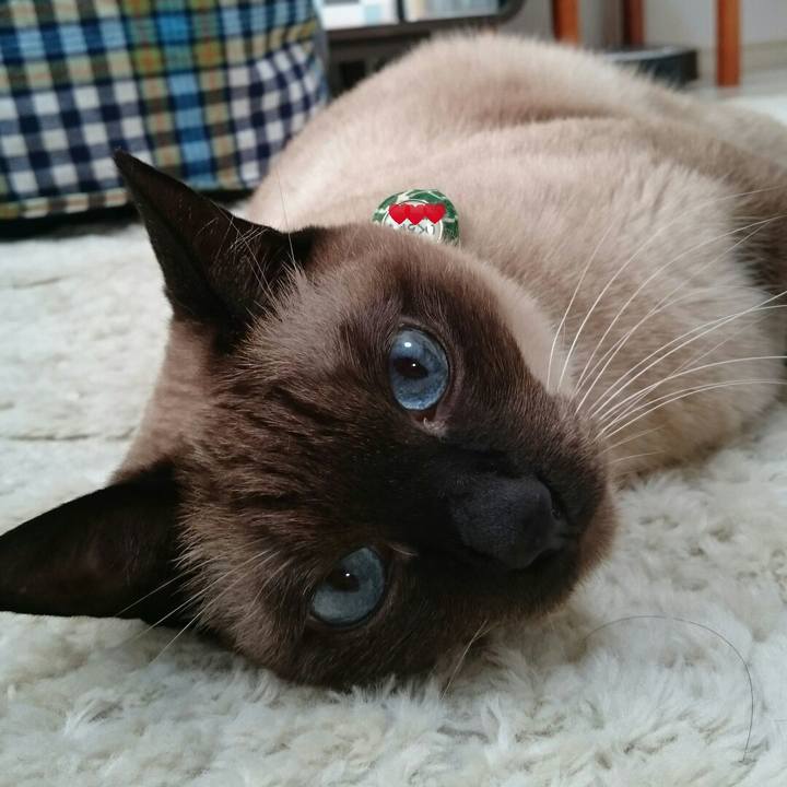 45f8b6a9 1294 4b4b 83e4 177c2c765294