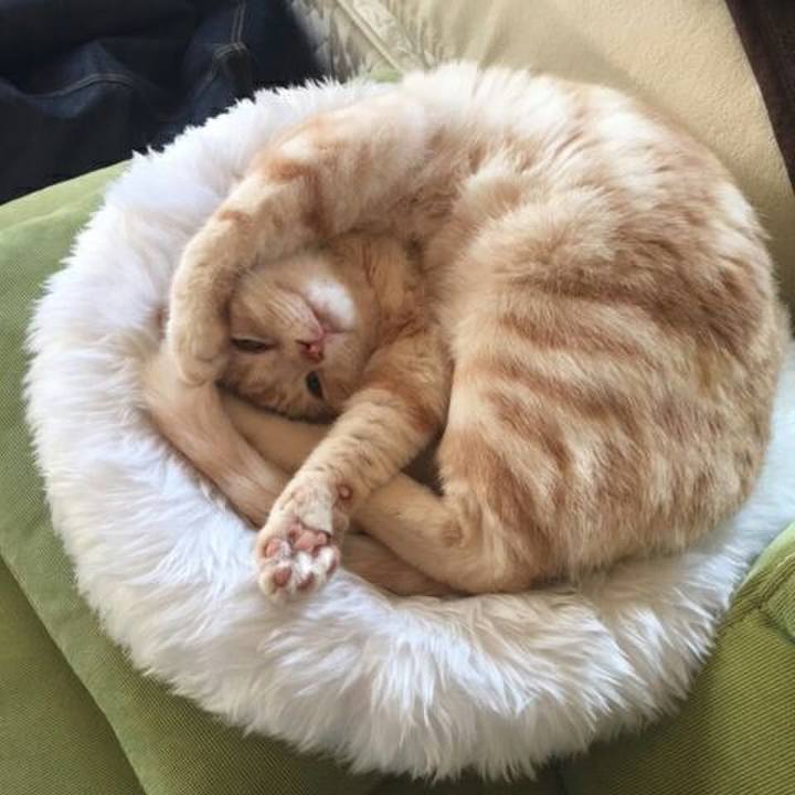 45f8f08a 8bbb 4736 8277 7245447103aa