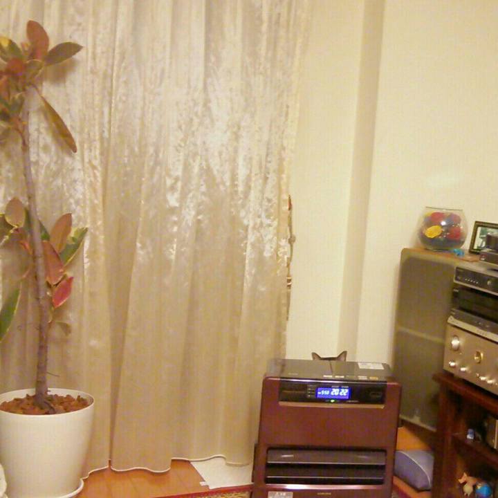 45f97999 673c 4401 8e0e 8208fac6e071