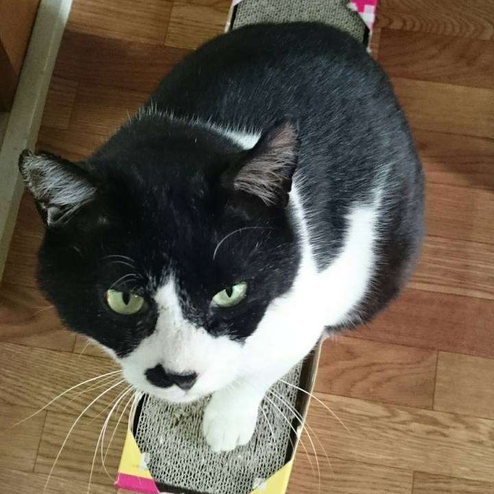 45f9cece db54 4286 90bc ef5cc8dd1b43