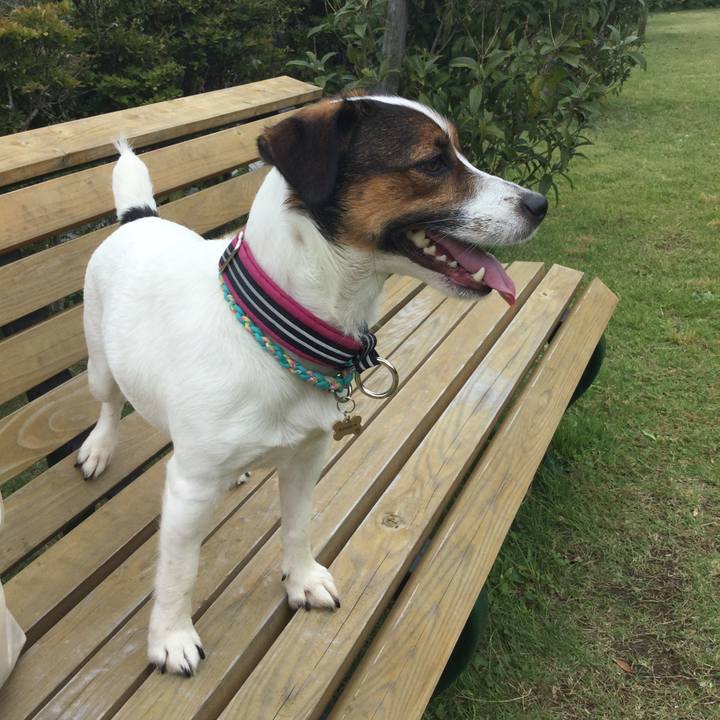 45f9d98d 37ad 414c a4c9 3e476baa5d5f