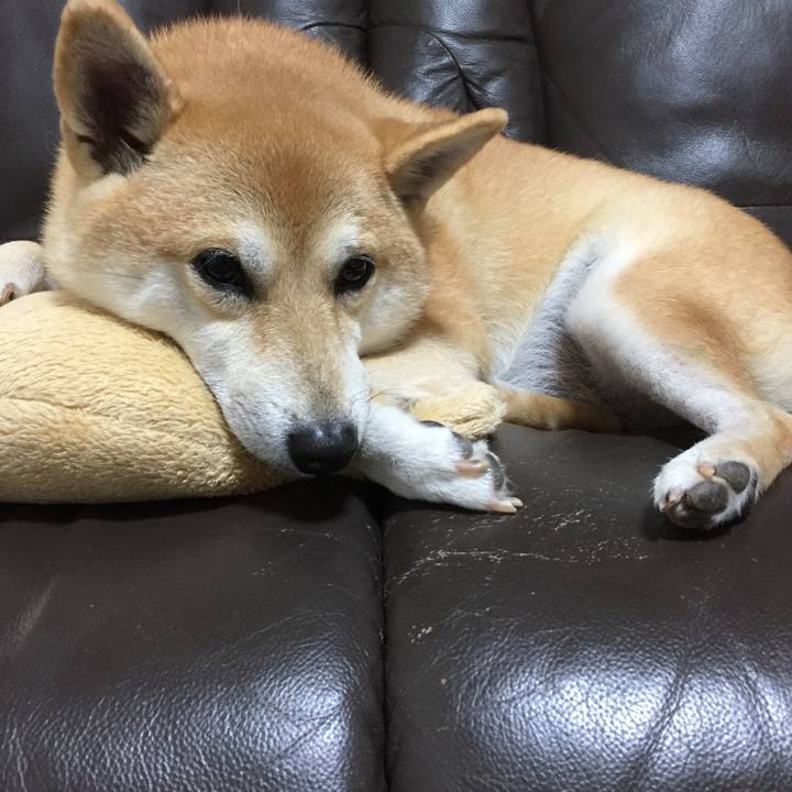 45fa7d6a f121 4cb6 88d8 a9241becaabc