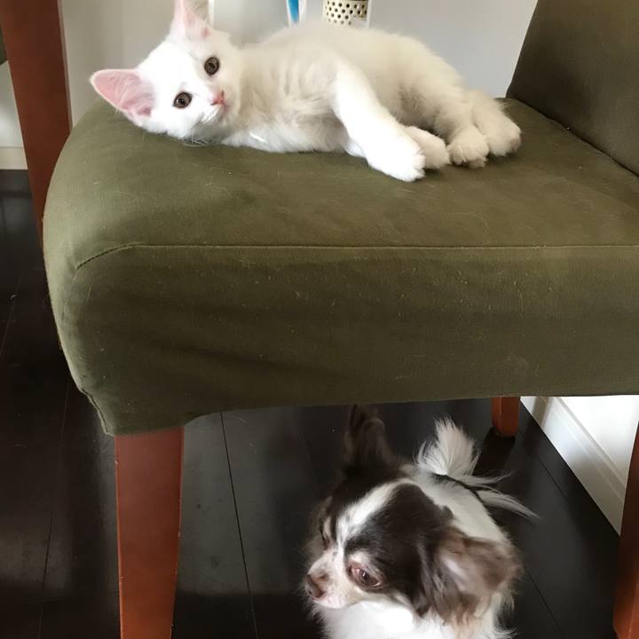 45fbfb5b e3c4 497d 99aa f629e2884c06