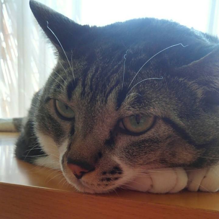 45fc4496 6f0a 43d7 b97a cf9cf09f6449