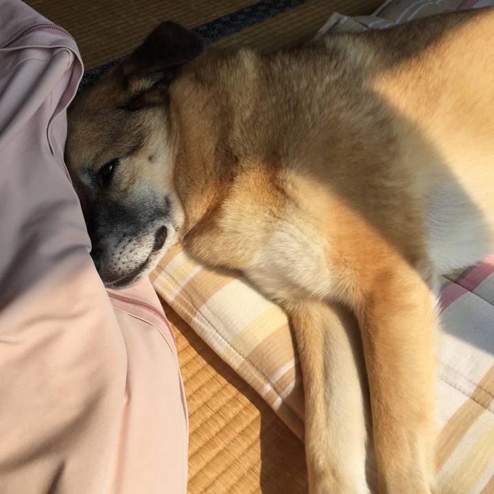 45fcb774 7a77 4522 b673 38cf42fbac22