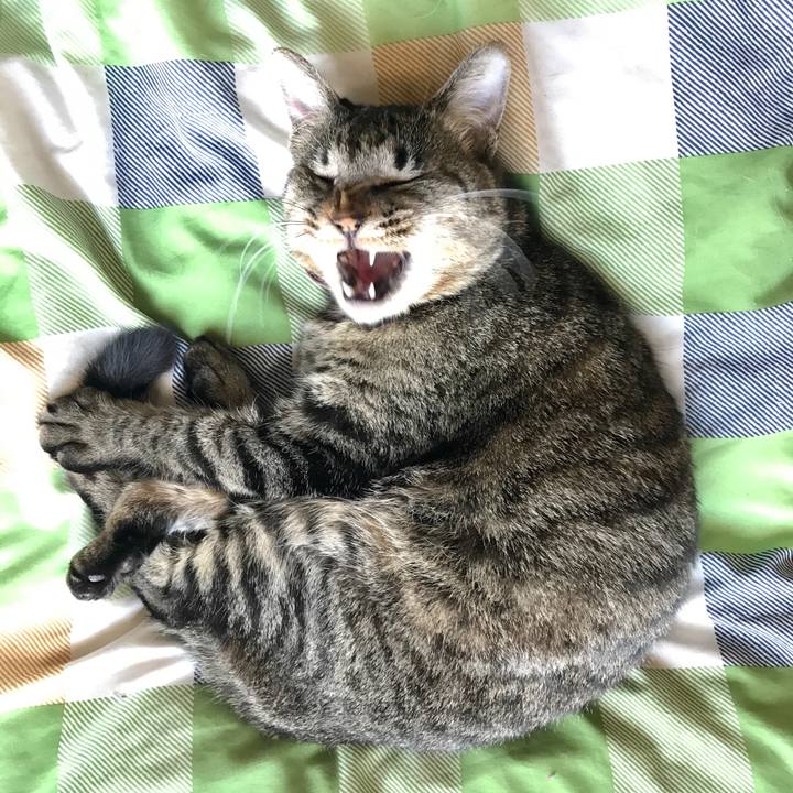 45fd8cd3 ceef 4aae 95e4 0cd4532c9a48