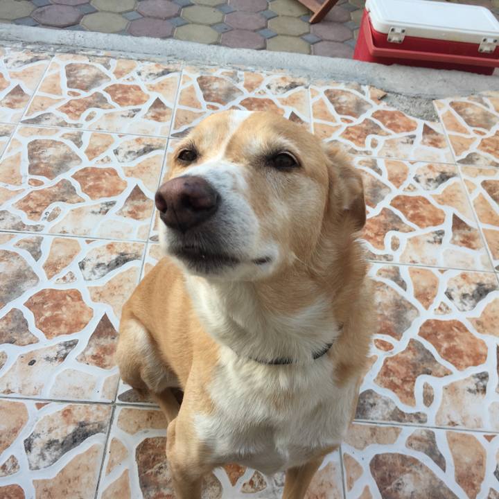 45fe6907 cd21 447b 9900 26abb0cbae7f