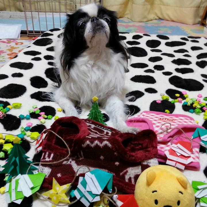 45ff4aca 5279 4849 b42b 50d07020973b