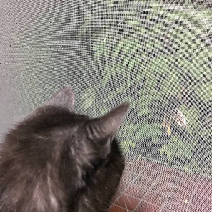 46002645 8a31 4c64 b9d5 073dd4e54124