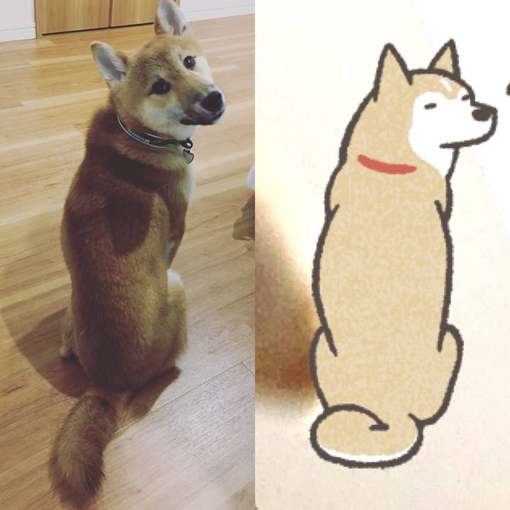 46009bae a77d 48d0 9abe 4e1b0c648152