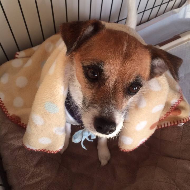 46013a03 1749 4c41 9104 1cc67cb5a7f7